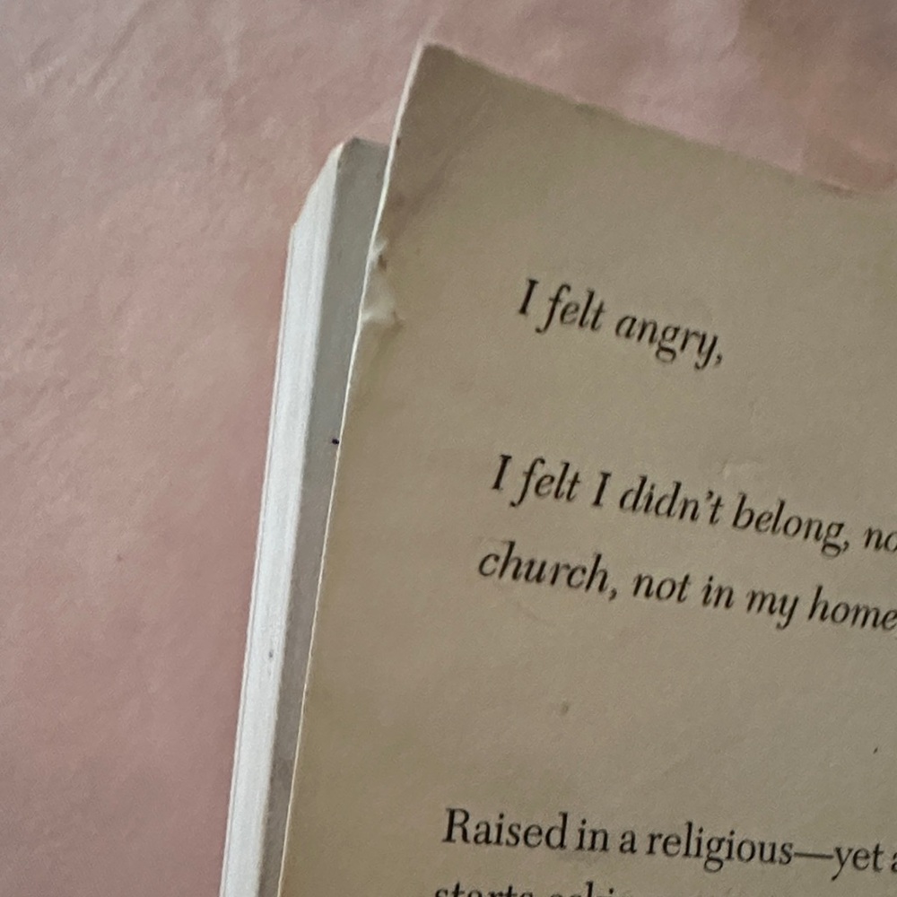 'Burned' Book - Picture 3 of 5